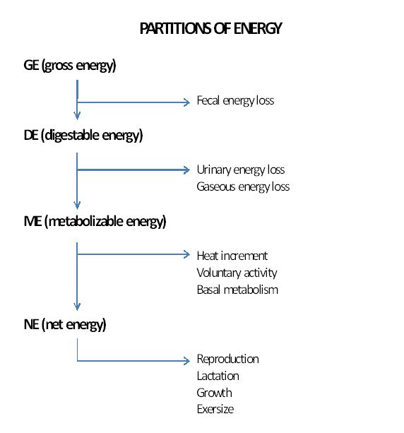 Partitions of Energy